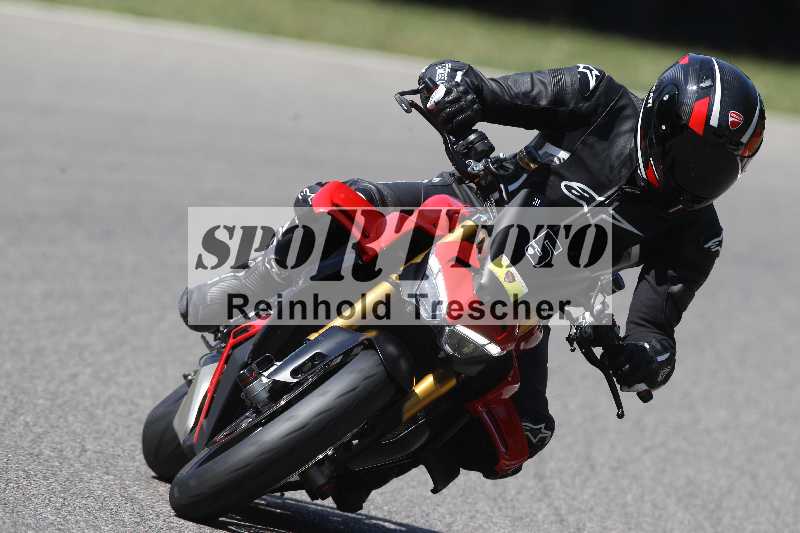 /46 11.08.2025 PADDYS-RACES-DAYS ADR/Sport-Profi/5